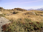 Walter 08.07.08-02.01.200983